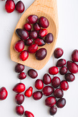 The tasty american cranberries.