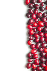 The tasty american cranberries.