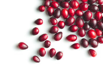 The tasty american cranberries.