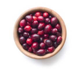 The tasty american cranberries.