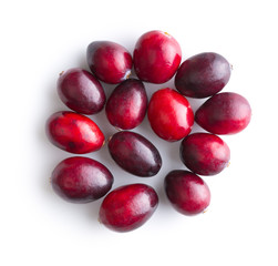 The tasty american cranberries.