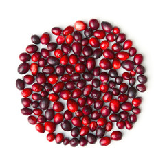 The tasty american cranberries.