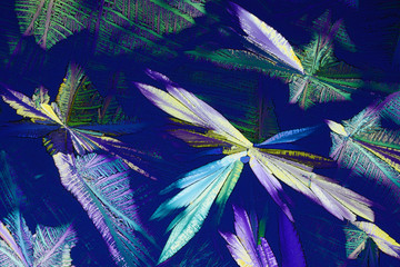 Colorful micro crystals in polarized light