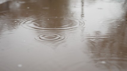 raindrops in puddle of water blue splash autumn nature overcast gloomily