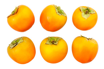 persimmon