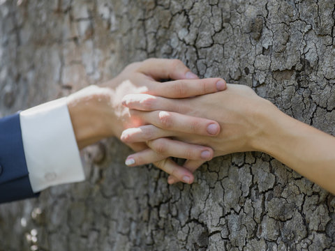 Wedding hands on bark of tree