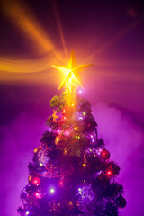 Fototapeta na wymiar Christmas tree with shining star and frozen mist