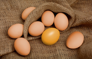 Golden egg different among the usual. Concept of Success on black