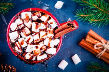 Hot cocoa with chocolate, marshmallow and cinnamon