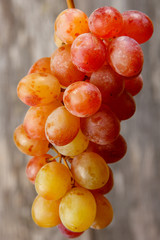 bunch of grapes/Close-up of grapes of different kinds
