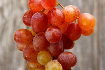 bunch of grapes/Close-up of grapes of different kinds
