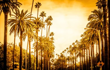 Fototapeten Palmen in Los Angeles © oneinchpunch