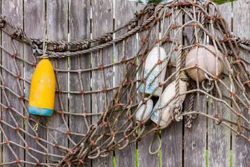 Buoys on the Fence 1