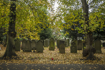 Newark Cemetery, London Road Nottinghamshire UK in Autumn