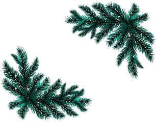 Two realistic branch blue spruce. Placed in the corners. Fir branches. Isolated on white background. Christmas illustration