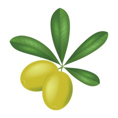 olive
