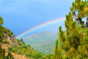 rainbow