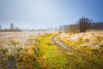 Frosty morning landscape
