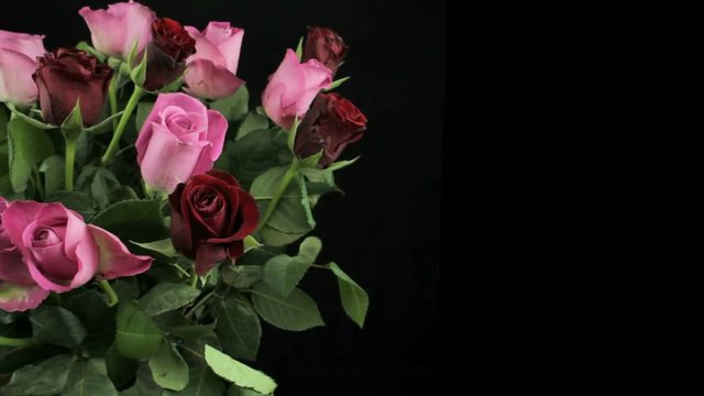 Bouquet of red and pink roses rotates clockwise
