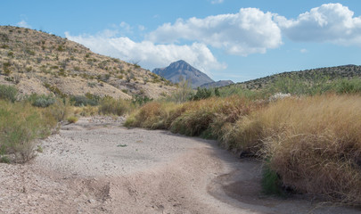 A dry creek bed in Big Bend National Park in Texas