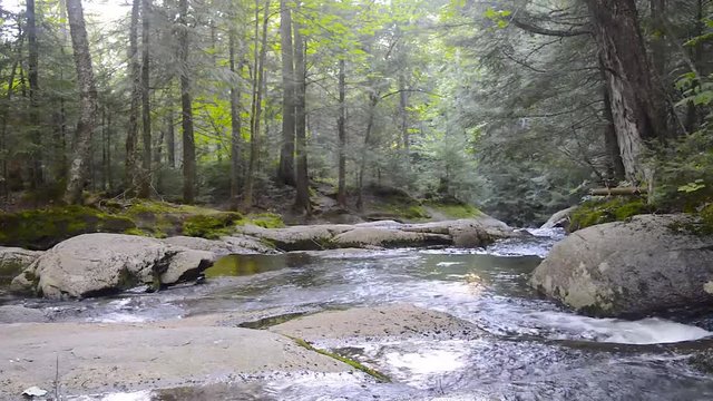 River in Mont Tremblant Park, Quebec, Canada