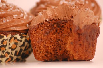 chocolate cupcakes