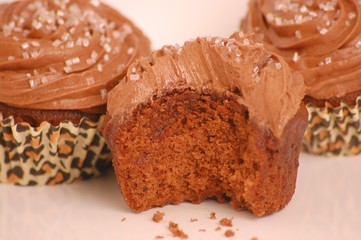 chocolate cupcakes