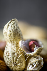 Different nuts closeup