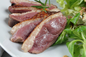 magret de canard 12112016