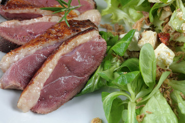 magret de canard 12112016