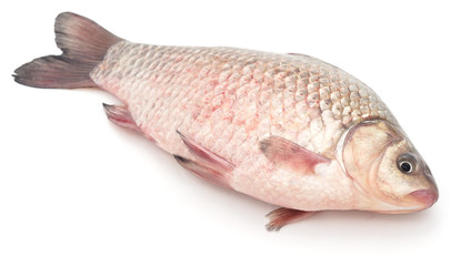 Series crucian.