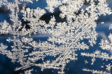 Ice flowers on glass - texture and background