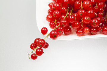 Red currants on a white plate with white background