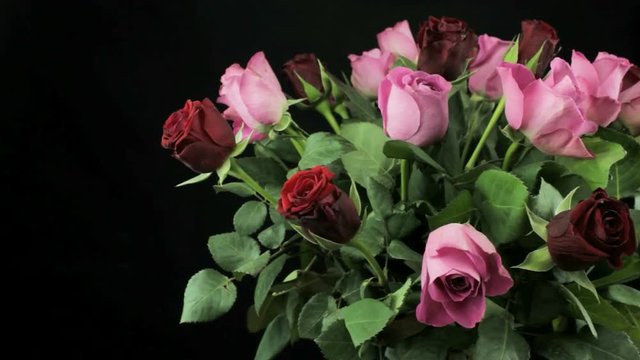 Roses in a bouquet on a black background rotating
