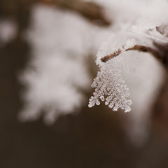 Snowflake with details