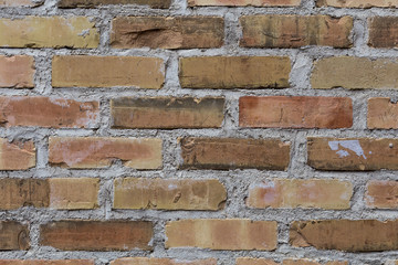 Old Brick Wall