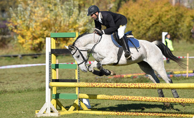 Equestrian