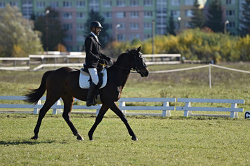 Equestrian