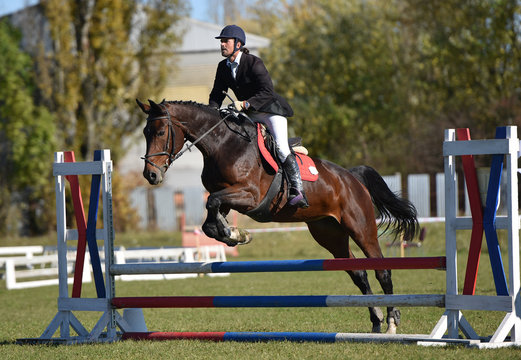 show jumping