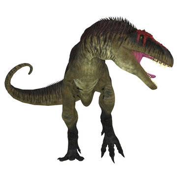 Tyrannotitan Predator - Tyrannotitan was a carnivorous theropod dinosaur the lived in Argentina in the Cretaceous Period.