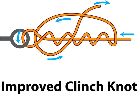 Improved clinch knot vector diagram illustration clip-art image