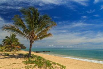 Fototapeta na wymiar Tropical Beach with Palm Trees.
