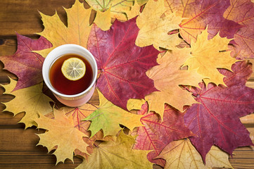 cup of tea with lemon and lots of beautiful yellow leaves