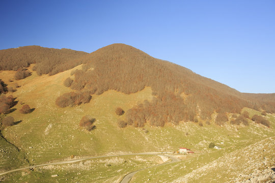 Passo di Forca d'acero in autunno, un bosco tra Lazio e Abruzzo. Alberi, rocce e mille colori della natura 
