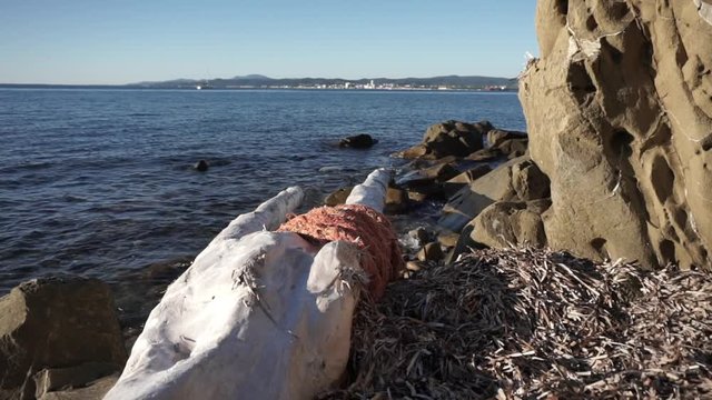 This video is about Tronco con gomena su spiaggia