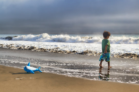 The boy and the sea