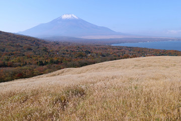 山中湖村　パノラマ台から見た富士山