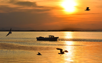 Fototapeta premium Fishing boat on the sea at sunset. Seagulls flying on the sea.