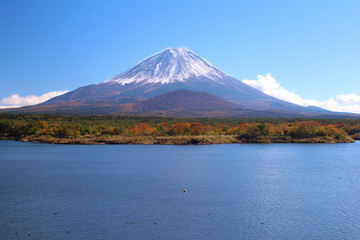精進湖と富士山