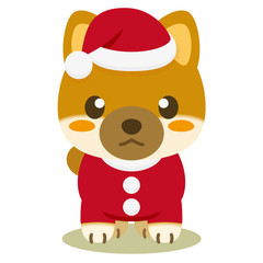 いぬっこ倶楽部 クリスマス 柴犬